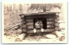 1930s ALASKA MALAMUTE SLED DOG AT HOME LOG CABIN DOGHOUSE RPPC POSTCARD P2417 picture