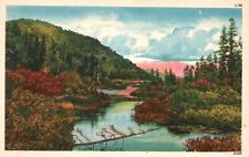 Vintage Postcard Autumn Colors Shadowing River Beautiful View Colourpicture Pub. picture
