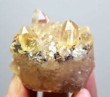 Natural Original Golden Hair Rutilated Quartz Crystal Cluster Mineral Specimen picture
