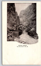 Postcard CO Royal Gorge On D & R G R R Railroad Colorado UNP picture