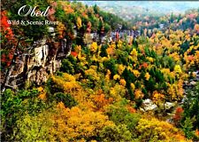 Obed Wild & Scenic River Fall Season photo postcard picture