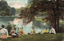 Chicago IL Illinois, Family Picnic Scene, Lincoln Park, Vintage Postcard picture