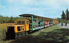 The Toonerville Trolley Soo Junction MI Michigan c1970 Postcard 4397 picture