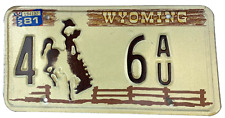 Wyoming 1981 Auto License Plate Vintage Sweetwater Co Man Cave Decor Collector picture
