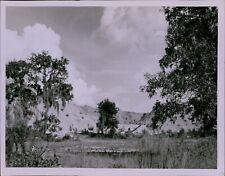 LG885 1952 Original Bob East Photo STRIPPED PHOSPHATE MINE Piles of Material picture