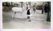 Vintage polaroid of a young girl feeding a deer by hand picture