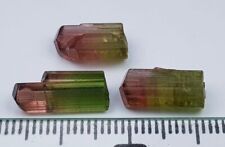 10ct Natural Terminated Bi Color TOURMALINE Crystal Lot From Afghanistan  3pcs picture