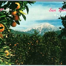 c1960s San Bernardino CA Greetings from PC Orange Ferris Scott Josef Muench A266 picture