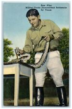 c1910s Ross Allen's Rattlesnakes Milked Venom Silver Springs Florida FL Postcard picture