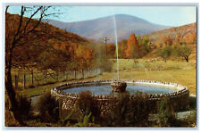 c1950's Fountain,Valley View House Inc Anton Doebele Oliverea NY Postcard picture