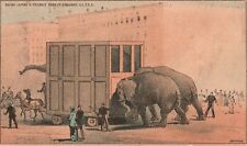 1880s-90s Divine Jumbo a Friendly Push Up Broadway  New York Elephant Circus picture