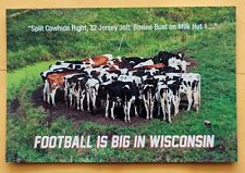 Postcard WI: Wisconsin Cow Huddle  picture