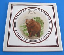 Banff Alberta Tile Trivet Brown Bear Souvenir Hand Decorated in Canada Vintage picture