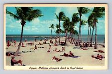 Coral Gables FL-Florida, Matheson Hammock Beach, Antique Vintage Postcard picture
