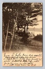 Amesbury MA-Massachusetts, Birches, Rustic Bridge Lake Attitash Vintage Postcard picture