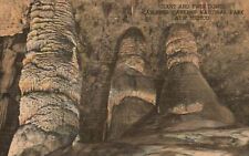 Vintage Postcard Giant And Twin Domes Carlsbad Caverns National Park New Mexico picture