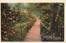 Rustic Bridge Rhododendrons East Shore Lake Ariel Pennsylvania c1920 Postcard picture