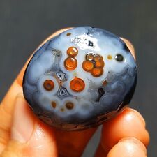 HOT22g Natural Gobi agate eye Agate Crystal China Mongolia 55A36 picture