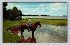 Sebring FL, Horseback Riding At Lake Jackson, Florida Vintage Postcard picture