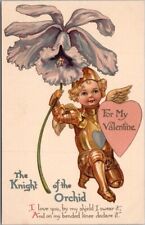 1911 VALENTINE'S DAY Postcard 