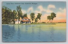 Indian Point Coldwater Lake Coldwater  Michigan Linen Postcard No 4110 picture