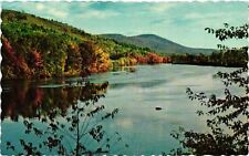 Vintage Postcard- ANDROSCOGGIN RIVER, RUMFORD POINT, ME. 1960s picture