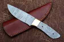 SHARDBLADE Hand Forged Damascus Steel Hunting Brass Bolster BLANK BLADE KNIFE picture