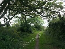 Photo 6x4 Fowey: woodland edge Footpath in Covington Woods. The woods wer c2009 picture