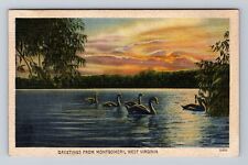 Montgomery WV-West Virginia, Scenic Greetings, Swans on Lake Vintage Postcard picture