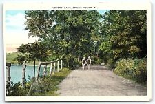 c1920 SPRING MOUNT PENNSYLVANIA LOVERS LANE UNPOSTED POSTCARD P4104 picture