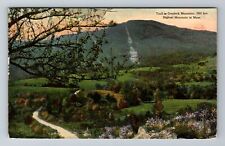 Greylock Mountain, MA-Massachusetts, Trail To Peak c1916, Vintage Postcard picture