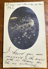 1910 Guy Laying in Daisies Flowers B/W RPPC Real Picture Postcard picture