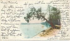 BEMIS POINT NY - Chautauqua Lake Long Point Private Mailing Card picture