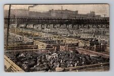 Chicago IL-Illinois, Union Stock Yard, Antique Vintage Souvenir Postcard picture