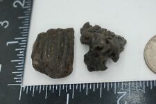 Darwin Glass -- 12g - Austalite - Darwinite - tektite - impactite #gls9 picture