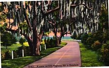 VTG Postcard- D831. US HWY 301 DIXIELAND. UnPost 1910 picture