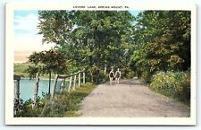 c1920 SPRING MOUNT PENNSYLVANIA LOVERS LANE UNPOSTED POSTCARD P4555 picture