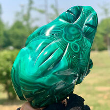 164G  Rare Natural Malachite quartz hand Carved frog  Crystal Healing picture