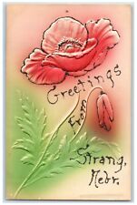 c1910 Greetings From Flower Embossed Glitter Strang Nebraska NE Vintage Postcard picture