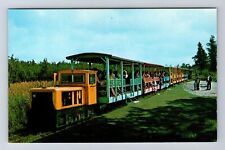 Soo Junction MI-Michigan, The Toonerville Trolley Advertising, Vintage Postcard picture