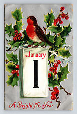 TUCKS January 1st Bright New Year Christmas Robin Mistletoe Postcard picture
