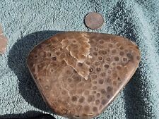 Petoskey Stone Hand Polished Hexagonaria Fossil 22.64oz Monster Unique picture