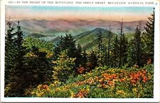 In The Heart of the Great Smoky Mountains National Park picture