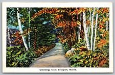 Greetings Bridgton Maine Country Road Forest Flowers ME Vintage UNP Postcard picture