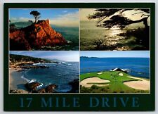 Postcard 17 Mile Drive Pebble Beach Golf Cypress Point Lone Cypress picture