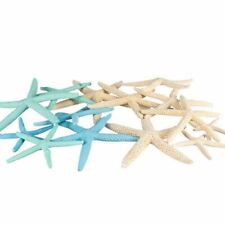 Finger Starfish | 12 Imperfect White Blue & Green Starfish 2