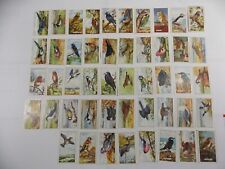 Gallaher Cigarette Cards British Birds 1937 Complete Set 48 picture