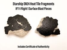 SpaceX Starship SN24 S24 Large Heat Shield Thermal Tile Sections - 2X Surface picture