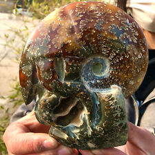 1.18LB Rare Natural Tentacle Ammonite FossilSpecimen Shell Healing Madagascar picture