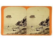 Antique Stereoview Black Rock Great Salt Lake Stereoview Mormon LDS picture